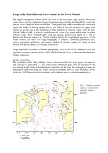 Large scale circulation and water masses in the North Atlantic