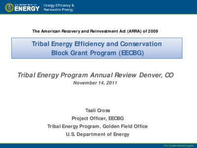 Tribal Energy Efficiency and Conservation Block Grant Program (EECBG)