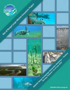 The Bay of Bengal Large Marine Ecosystem (BOBLME) Mergui Archipelago Stakeholder Workshop – Thailand Workshop Report  Prepared by