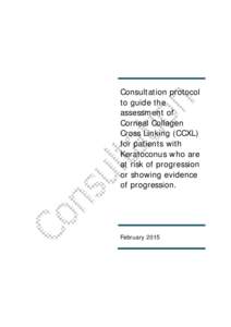 Microsoft Word[removed]ConsultationProtocol-accessible.docx