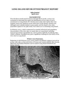 LONG ISLAND RIVER OTTER PROJECT REPORT Mike Bottini April 2012 BACKGROUND Over the three-month period January through March 2008, a survey was conducted to determine the status and distribution of river otters (Lontra