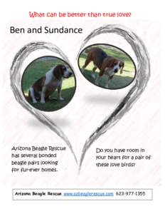 What can be better than true love?  Ben and Sundance Arizona Beagle Rescue has several bonded