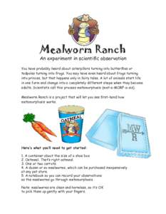 Mealworm Ranch  An experiment in scientific observation You have probably heard about caterpillars turning into butterflies or tadpoles turning into frogs. You may have even heard about frogs turning into princes, but th