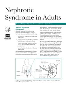 Nephrotic Syndrome in Adults National Kidney and Urologic Diseases Information Clearinghouse What is nephrotic syndrome?