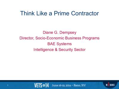 Think Like a Prime Contractor Diane G. Dempsey Director, Socio-Economic Business Programs BAE Systems Intelligence & Security Sector