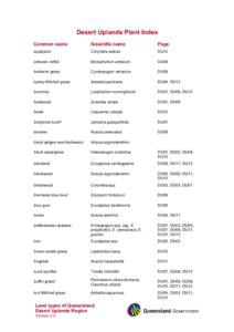 Trees of Australia / Environment of Australia / Acacia cambagei / Acacia argyrodendron / Acacia aneura / Corymbia / Acacia harpophylla / Eucalyptus / Aristida / Flora of New South Wales / Flora of Australia / Natural history of Australia