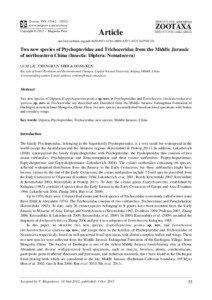 Ptychopteridae / Haifanggou Formation / Phylogeny of insects / Mecoptera / Phyla / Protostome / Daohugou Beds