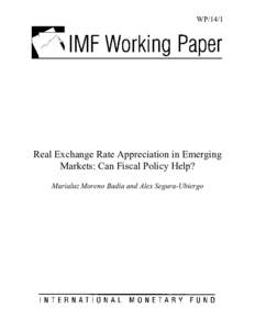 Microsoft Word - DMSDR1S-#[removed]v9-F1__Working_Paper__Real_Exchange_Rate_Appreciation_in_Emerging_Markets__Can_Fiscal_Policy_