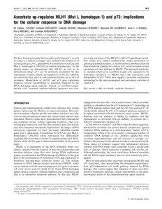 Programmed cell death / Tumor suppressor genes / Carcinogenesis / P73 / P53 / Cisplatin / DNA repair / DNA mismatch repair / Ataxia telangiectasia mutated / Biology / Proteins / Apoptosis