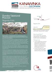 South West Victoria & South East South Australia  Dundas Tableland Precinct: Nigretta Falls