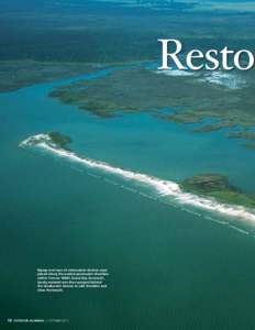 Restor  Riprap and rows of attenuation devices were placed along the eroded peninsula’s shoreline within Forever Wild’s Grand Bay Savannah. Sandy material was then pumped behind