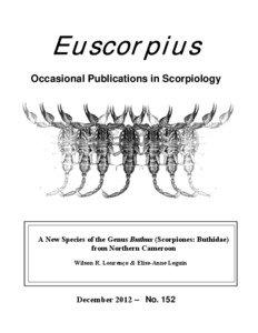 Euscorpius Occasional Publications in Scorpiology