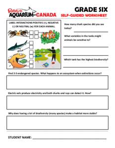 GRADE SIX SELF-GUIDED WORKSHEET LABEL INTERACTIONS POSITIVE (+), NEGATIVE (-) OR NEUTRAL (ᴓ) FOR EACH ANIMAL.  How many shark species did you see