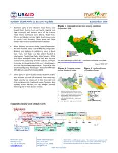 Microsoft Word - Sudan_2008_09_final