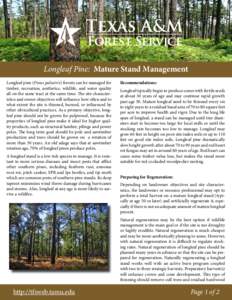 Longleaf Pine: Mature Stand Management Longleaf pine (Pinus palustris) forests can be managed for timber, recreation, aesthetics, wildlife, and water quality all on the same tract at the same time. The site characteristi