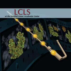 LCLS  at the Stanford Linear Accelerator Center LCLS The Linac Coherent Light Source (LCLS) is transforming the face of