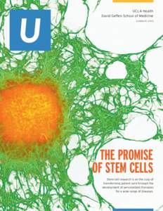 UCLA Health David Geffen School of Medicine SUMMER 2013 THE PROMISE OF STEM CELLS