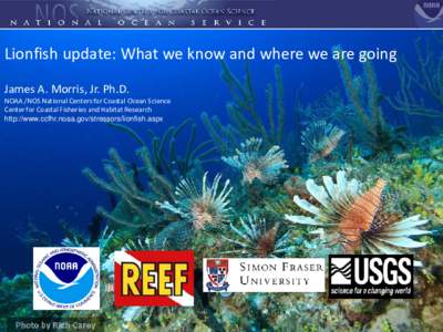 Lionfish update: What we know and where we are going James A. Morris, Jr. Ph.D. NOAA /NOS National Centers for Coastal Ocean Science Center for Coastal Fisheries and Habitat Research http://www.ccfhr.noaa.gov/stressors/l