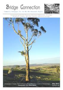 Community Newspaper for the Mia Mia-Redesdale Region Incorporating Barfold, Baynton, Derrinal, Elphinstone, Glenhope, Heathcote, Langley, M etcalfe Sidonia, and Sutton Grange. Lone Eucalyptus Viminalis (Manna Gum) on the