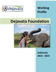Working Profile Dejavato Foundation  Indonesia
