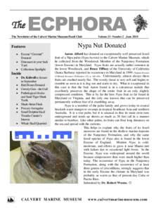 The  ECPHORA The Newsletter of the Calvert Marine Museum Fossil Club