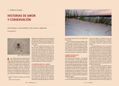 > Arañas en la playa  HISTORIAS DE AMOR Y CONSERVACIÓN Anita Aisenberg || Luciana Baruffaldi || Álvaro Laborda || Miguel Simó Investigadores*