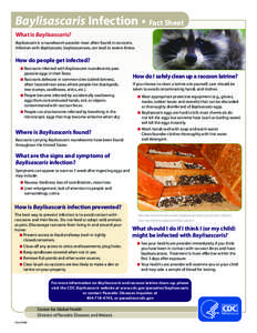 Baylisascaris Infection • Fact Sheet What is Baylisascaris? Baylisascaris is a roundworm parasite most often found in raccoons. Infection with Baylisascaris, baylisascariasis, can lead to severe illness.  How do peop