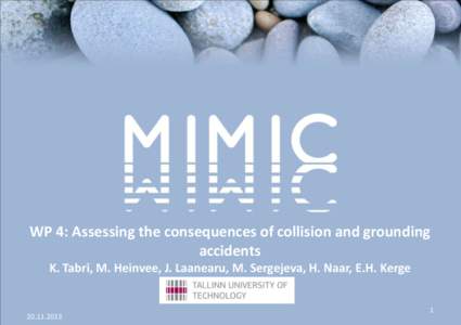 WP 4: Assessing the consequences of collision and grounding accidents K. Tabri, M. Heinvee, J. Laanearu, M. Sergejeva, H. Naar, E.H. Kerge