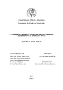 UNIVERSIDADE TÉCNICA DE LISBOA  Faculdade de Medicina Veterinária A LEISHMANIOSE CANINA E OS CONDICIONALISMOS DETERMINADOS PELAS RESPECTIVAS ALTERAÇÕES RENAIS