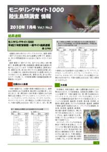 モニタリングサイト１０００ 陸生鳥類調査 情報 ２０１０年 １月号 Vol.1 No.2 Erithacus akahige Photo by Yoshiro Watanabe