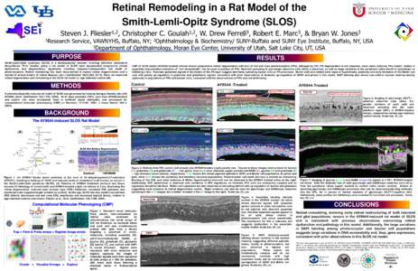 Retinal Remodeling in a Rat Model of the Smith-Lemli-Opitz Syndrome (SLOS) Steven J. 1Research  1,2