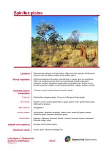 Spinifex plains    Landform Woody vegetation