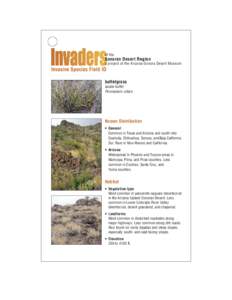 of the  Sonoran Desert Region a project of the Arizona-Sonora Desert Museum  Invasive Species Field ID