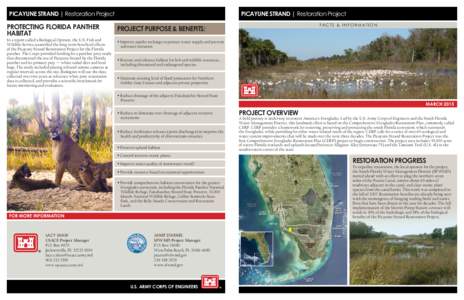PICAYUNE STRAND | Restoration Project  PROTECTING FLORIDA PANTHER HABITAT  In a report called a Biological Opinion, the U.S. Fish and