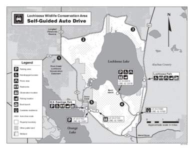 Lochloosa Wildlife Conservation Area  Self-Guided Auto Drive 301 Longleaf Flatwoods