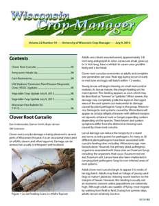 Volume 22 NumberUniversity of Wisconsin Crop ManagerJuly 9, 2015  Contents Clover Root Curculio...........................................................93 Armyworm Heads Up.............................