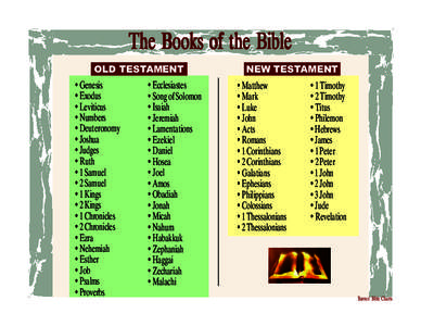 The Books of the Bible OLD TESTAMENT • Genesis • Exodus • Leviticus • Numbers