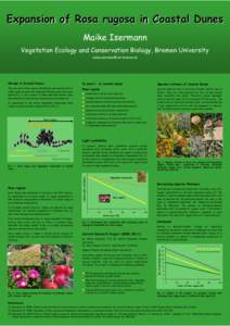 Expansion of Rosa rugosa in Coastal Dunes Maike Isermann Vegetation Ecology and Conservation Biology, Bremen University   Shrubs in Coastal Dunes