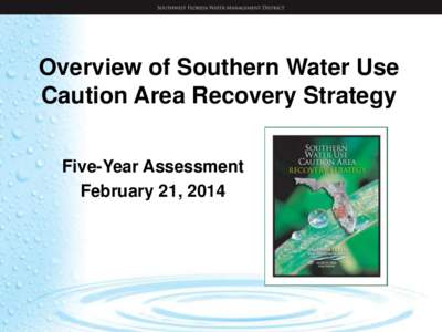 Overview of Southern Water Use Caution Area Recovery Strategy Five-Year Assessment February 21, 2014  Water Use Caution Areas