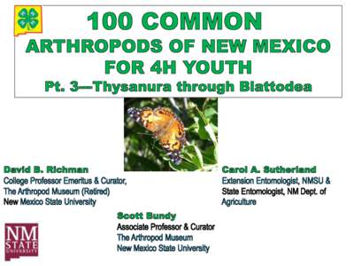 COMMON CLASSES & ORDERS OF ARTHROPODA: CLASS INSECTA (The Rest of the Arthropods in This Manual) •This is by far the largest class of arthropods – estimated 750,000-1 million+ species worldwide • 3 body parts: hea