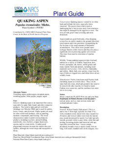 Plant Guide QUAKING ASPEN Populus tremuloides Michx.