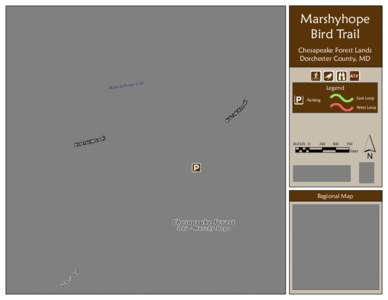 Marshyhope Bird Trail Chesapeake Forest Lands Dorchester County, MD
