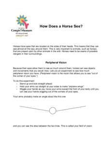 How Does a Horse See?  Horses have eyes that are located on the sides of their heads. This means that they can see almost all the way around them. This is very important to animals, such as horses, that are preyed upon b