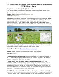 U.S. National Early Detection and Rapid Response System for Invasive Plants  EDRR Fact Sheet Randy G. Westbrooks, Whiteville, North Carolina. USA. Larry McCord, Santee Cooper Electric Cooperative, Moncks Corner, South Ca