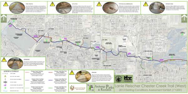 TREE ROOTS:  UTILITIES: POTHOLES & SINKHOLES: