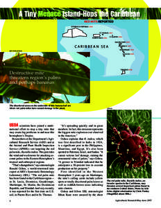 A Tiny  Island-Hops the Caribbean RED MITE REPORTED DOMINICAN REPUBLIC 2006 ST. THOMAS 2007