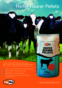 Heifer Rearer Pellets  CopRice Heifer Rearer Pellets are a high quality, highly nutritious rearing supplement for feeding to heifers from 12 weeks of age through to the transition phase. 	 High in by pass protein for gro