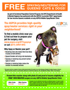 FREE  * SPAYING/NEUTERING FOR QUEENS’ CATS & DOGS!