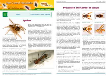Wasp / Paper wasp / Spider / Polistes / Yellowjacket / Vespula vulgaris / Sphecius speciosus / Vespidae / Hymenoptera / Hornet