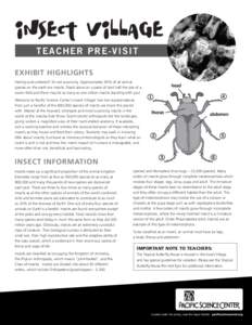 T E A C H E R P R E - V I SI T EXHIBIT HIGHLIGHTS Feeling outnumbered? It’s not surprising. Approximately 95% of all animal species on the earth are insects. Stand alone on a piece of land half the size of a soccer fie